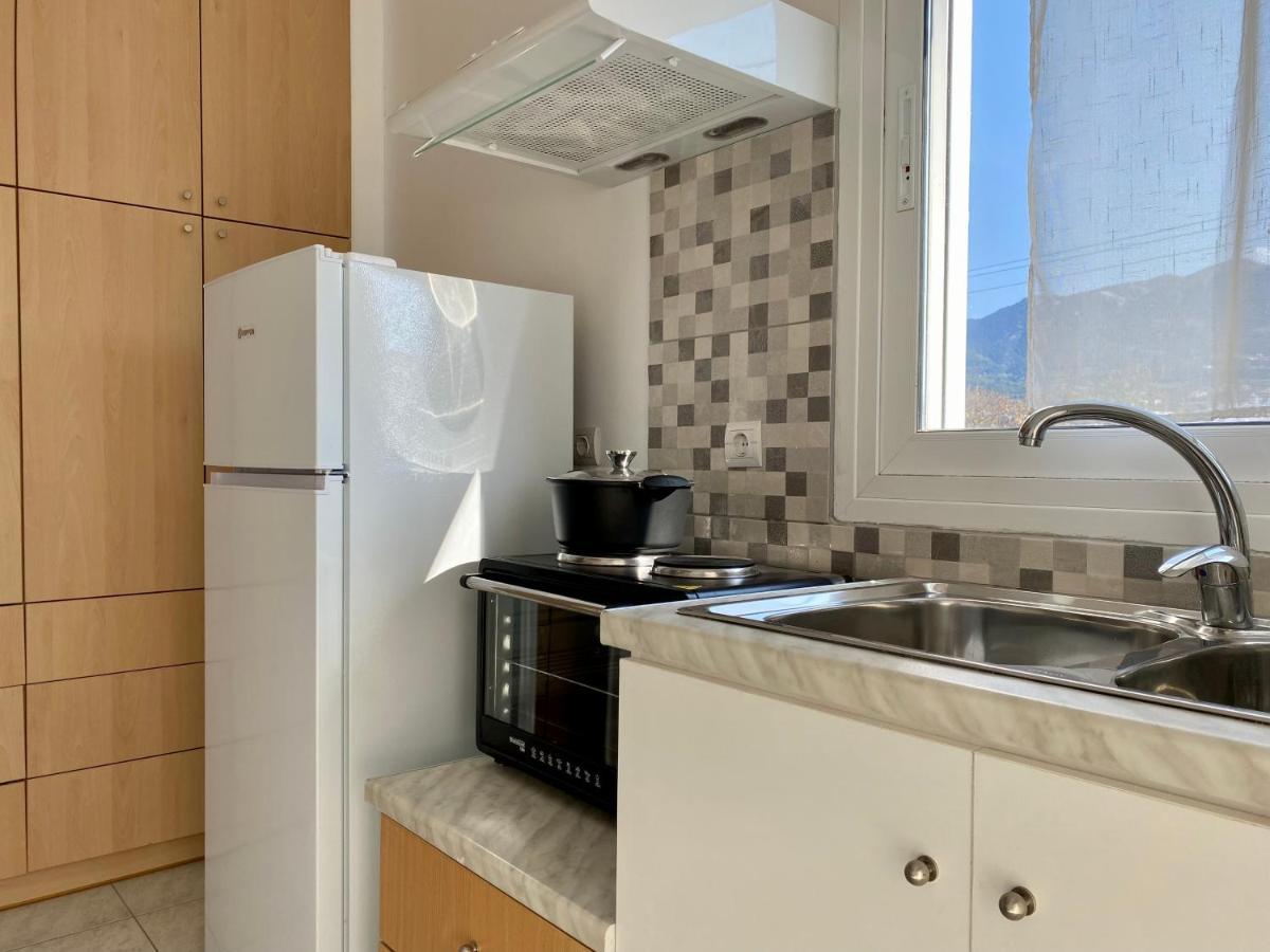 Elgreco Apartment, At Zipari, With Unique View "4" Ziparion Exterior photo